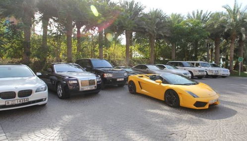 奢華與務實并存 從沙特汽車銷量榜看全球市場差異