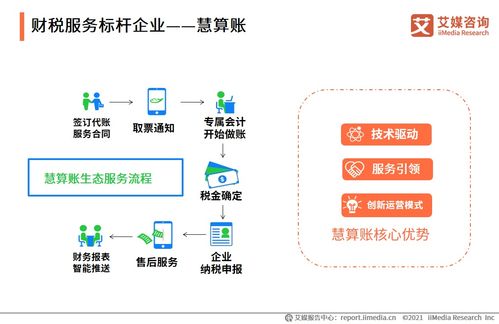 2021上半年中國財稅類企業(yè)服務(wù)專題研究報告 聚焦成都信息技術(shù)咨詢服務(wù)發(fā)展